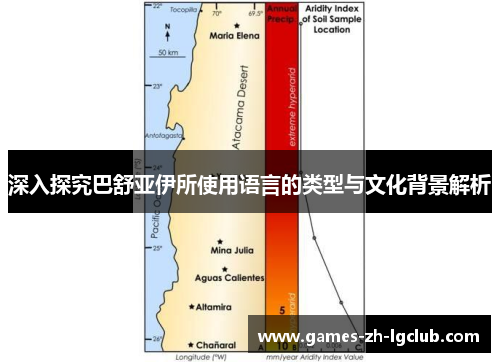 深入探究巴舒亚伊所使用语言的类型与文化背景解析