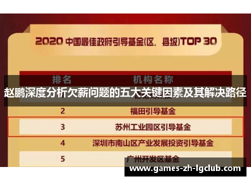 赵鹏深度分析欠薪问题的五大关键因素及其解决路径