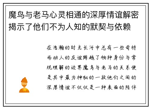 魔鸟与老马心灵相通的深厚情谊解密揭示了他们不为人知的默契与依赖
